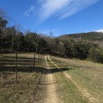 SANT-JOAN-VIVERS-FOTO