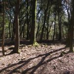 SANTA-PAU-PRUAN-FOTO-2