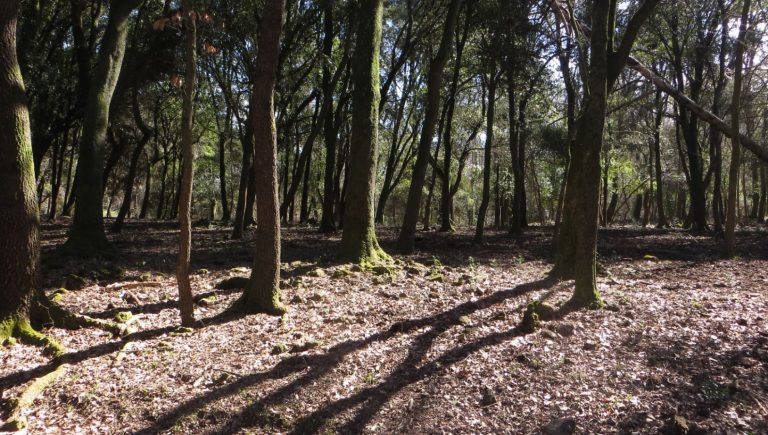 SANTA-PAU-PRUAN-FOTO-2