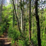 ESTEVE-BAS-COL-BAS-MURRIA-FOTO