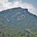 FOTO-EMBARDISSADA-2018