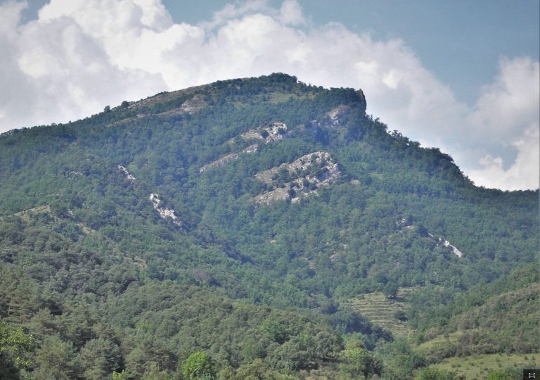 FOTO-EMBARDISSADA-2018