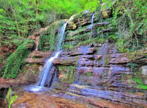 HOSTALETS-PUJOLRIU-FONT-MARRADES-FOTO