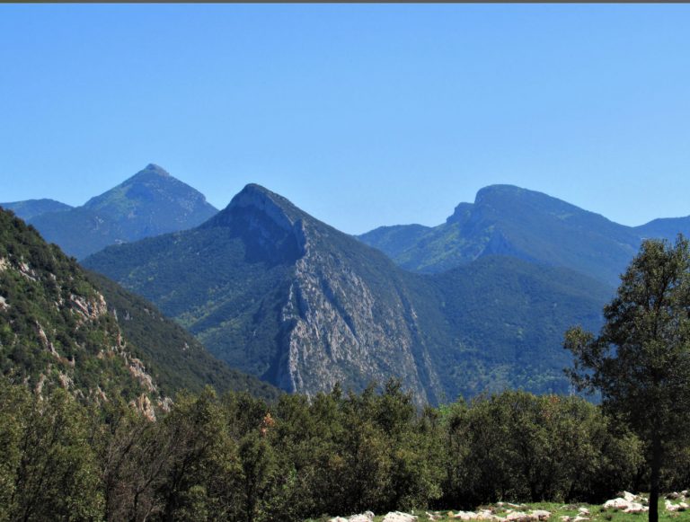 OIX-PERA-BESTRACA-foto