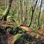 PRESES-MURRIA-XENACS-FOTO