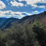 PRESES-XENACS-REDON-FOTO