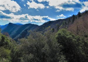 PRESES-XENACS-REDON-FOTO