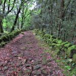 OLOT-ABDO-COSME-FOTO