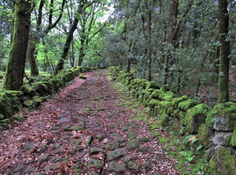 OLOT-ABDO-COSME-FOTO
