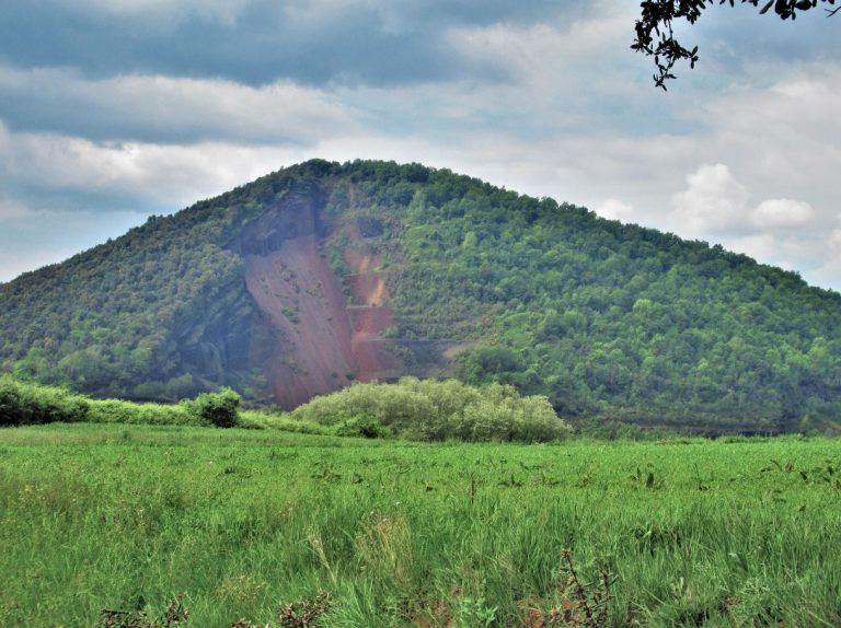 OLOT-PALOMERES-JORDA-FOTO