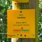 CAPELLETA-COGULERA-FOTO