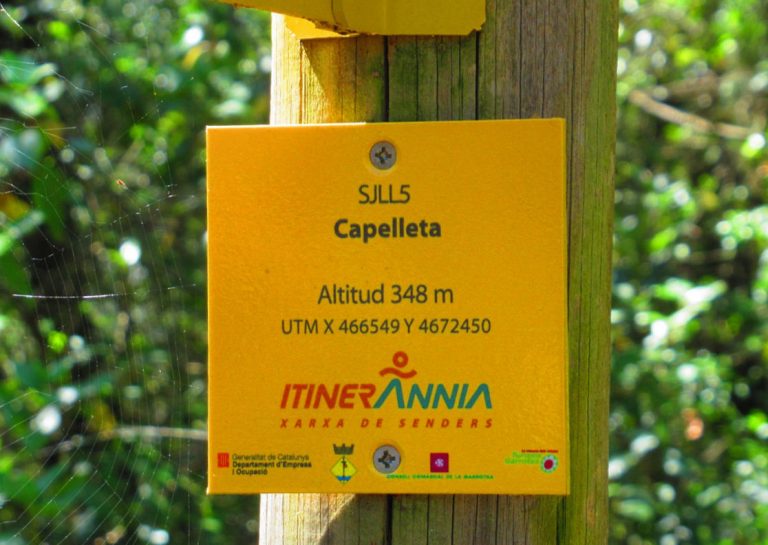 CAPELLETA-COGULERA-FOTO