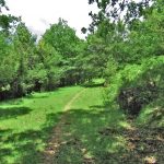 CASTELLFOLLIT-PUIG-DE-LOS-FOTO