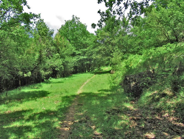 CASTELLFOLLIT-PUIG-DE-LOS-FOTO