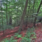 HOSTALETS-PORTELLERA-SAIOLS-FOTO