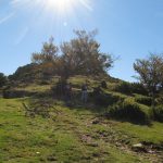 viladrau-matagalls-foto