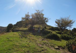 viladrau-matagalls-foto