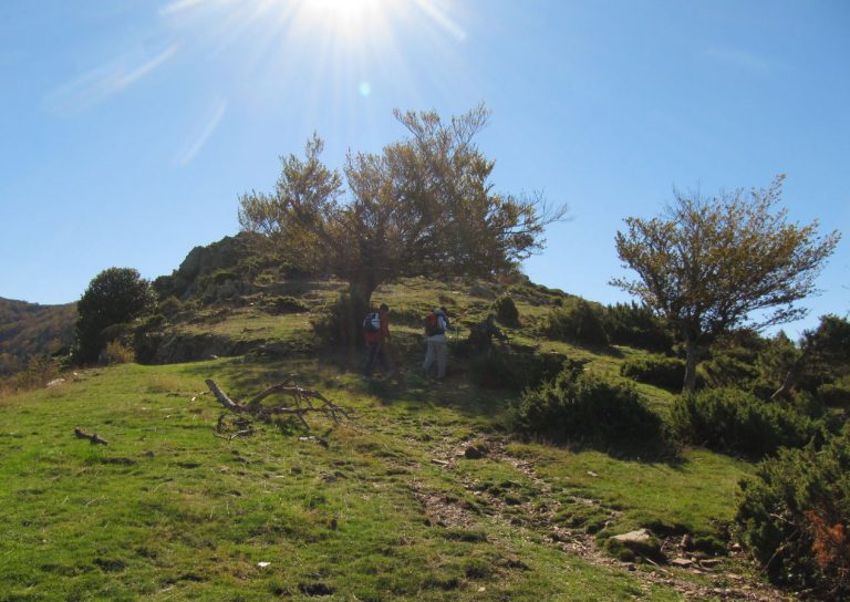 viladrau-matagalls-foto