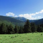 SETCASES-AGUDES-FOTO