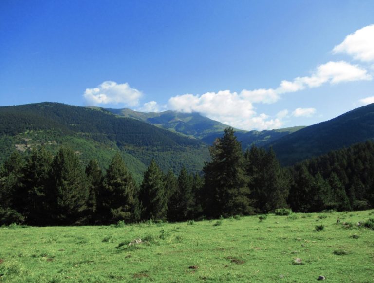 SETCASES-AGUDES-FOTO