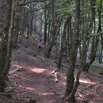 LLANCERS-NATZARI-FOTO