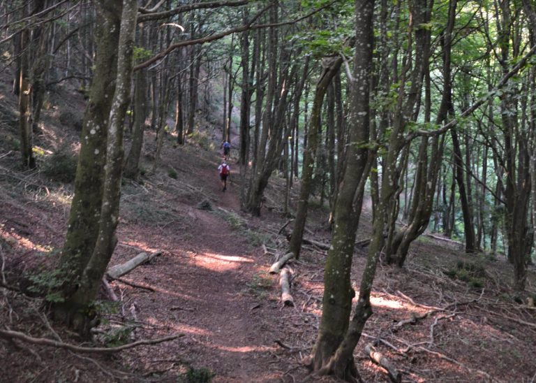 LLANCERS-NATZARI-FOTO