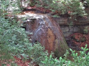 VALLFOGONA-OBIOLS-MILANY-FOTO