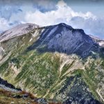 SETCASES-PASTIURA-foto