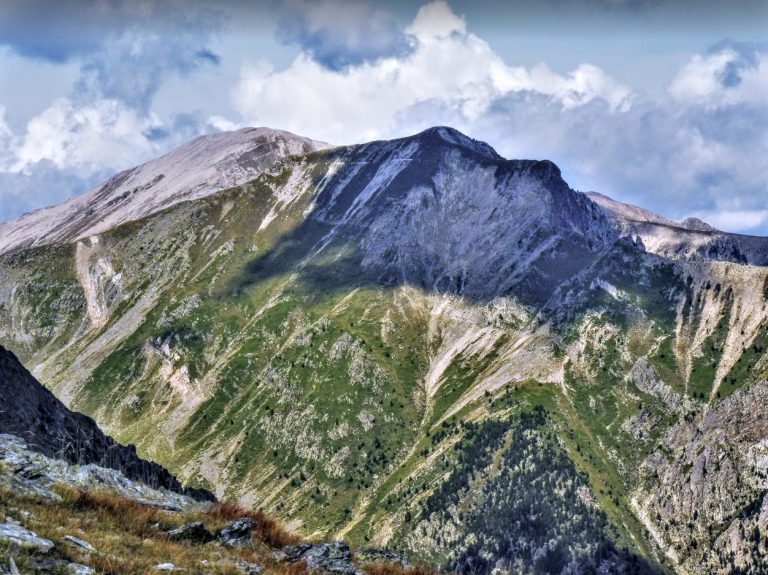 SETCASES-PASTIURA-foto