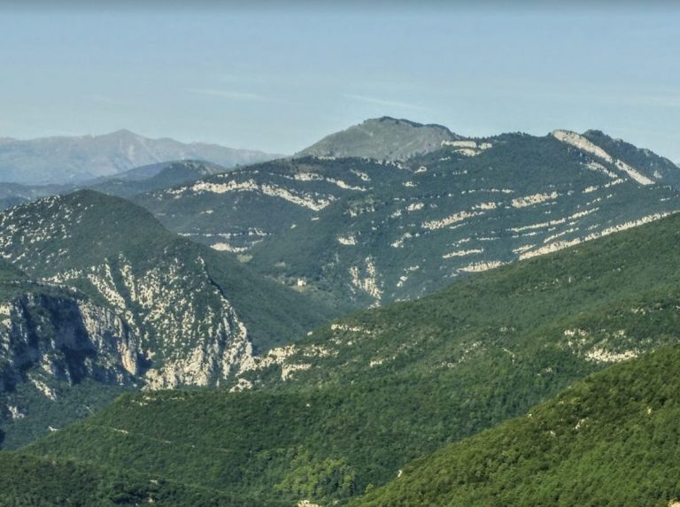 TORTELLA-MONTAIA-FOTO