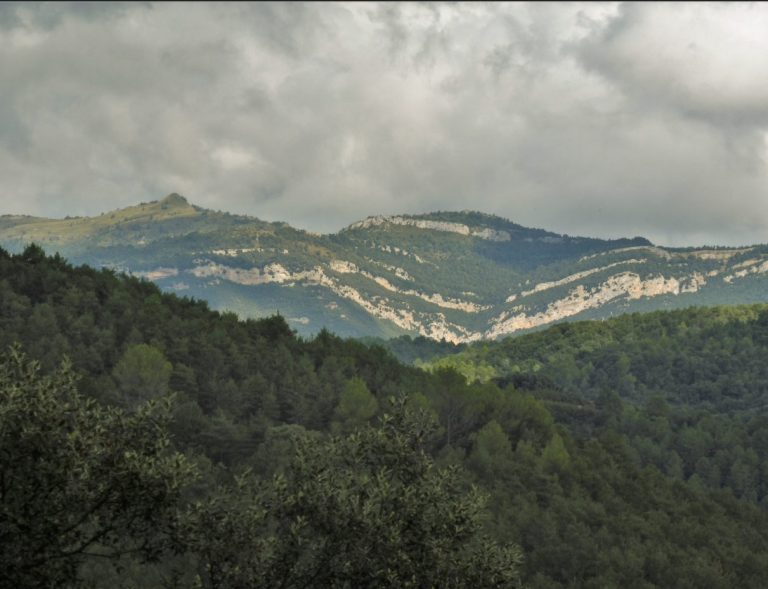 CASTELLFOLLIT-VIVERS-FOTO