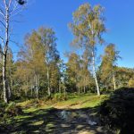 FELIU-URIA-SALUT-FOTO