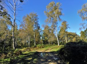 FELIU-URIA-SALUT-FOTO