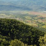 TORTELLA-SANT-JORDI-CORTO-FOTO