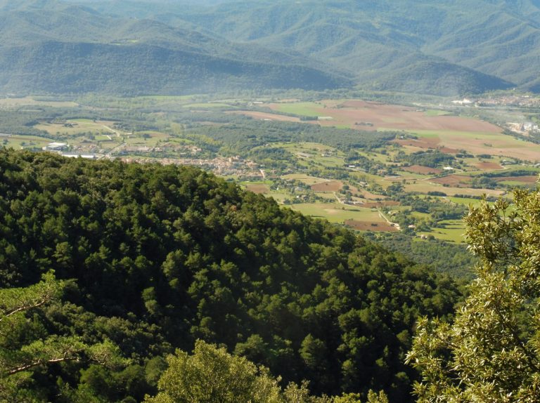 TORTELLA-SANT-JORDI-CORTO-FOTO