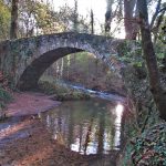 BEGUDA-BOIXEDES-FOTO