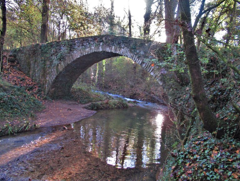 BEGUDA-BOIXEDES-FOTO