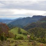 CANES-MAGDALENA-OFRENA-FOTOS