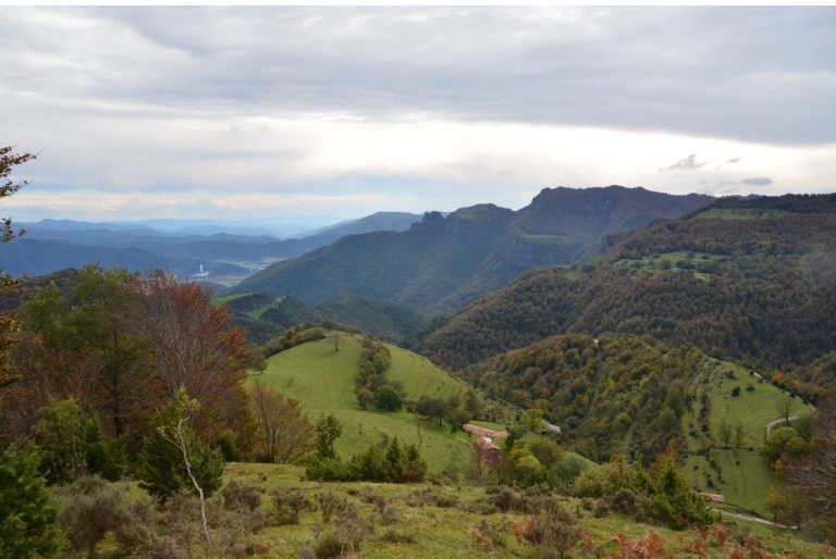 CANES-MAGDALENA-OFRENA-FOTOS