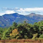 CANES-VALLFOGONA-ESTELA-FOTO