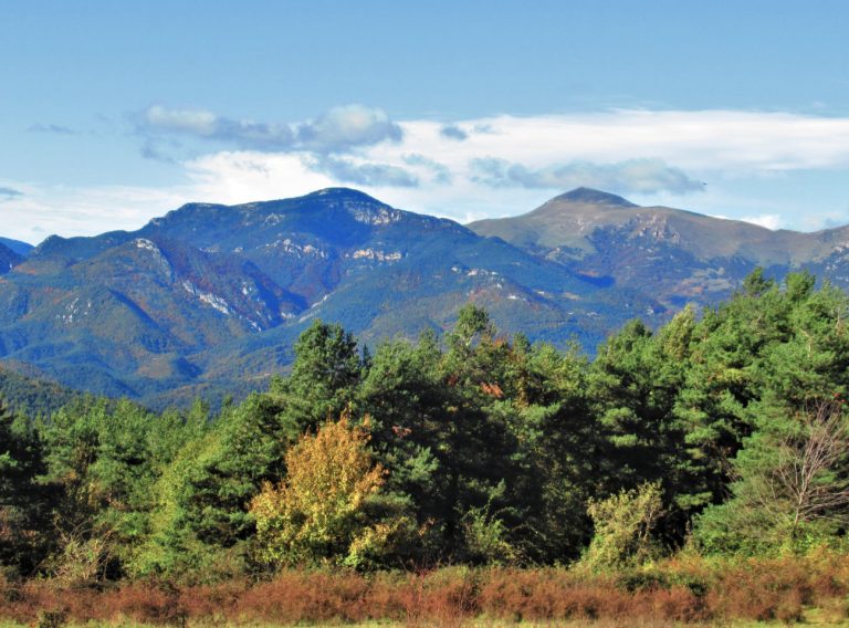 CANES-VALLFOGONA-ESTELA-FOTO