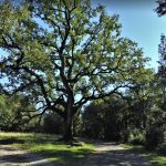 SALES-CAMI-BEUDA-FOTO