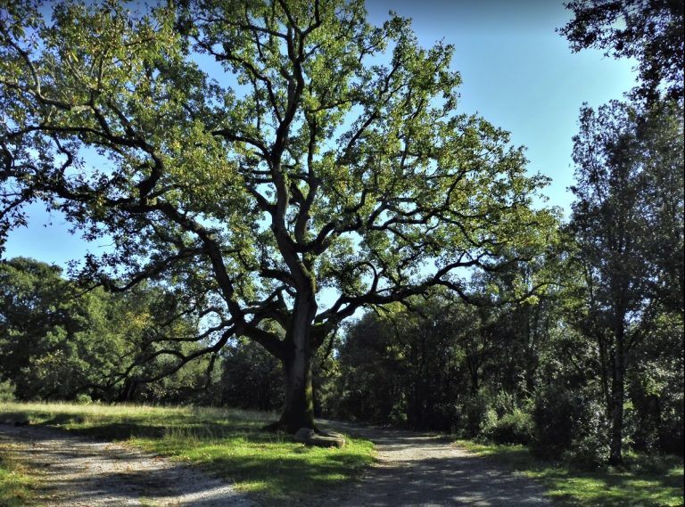 SALES-CAMI-BEUDA-FOTO