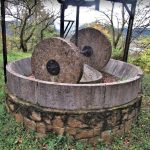 olot-boixedes-beguda-foto