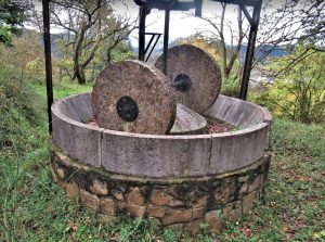 olot-boixedes-beguda-foto