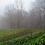 CANES-VALLFOGONA-FOTO