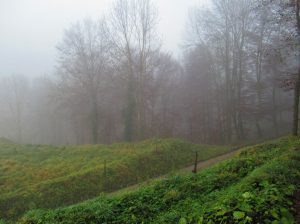 CANES-VALLFOGONA-FOTO