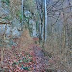 PUIGPARDINES-JOANETES-OLLETES-FOTO