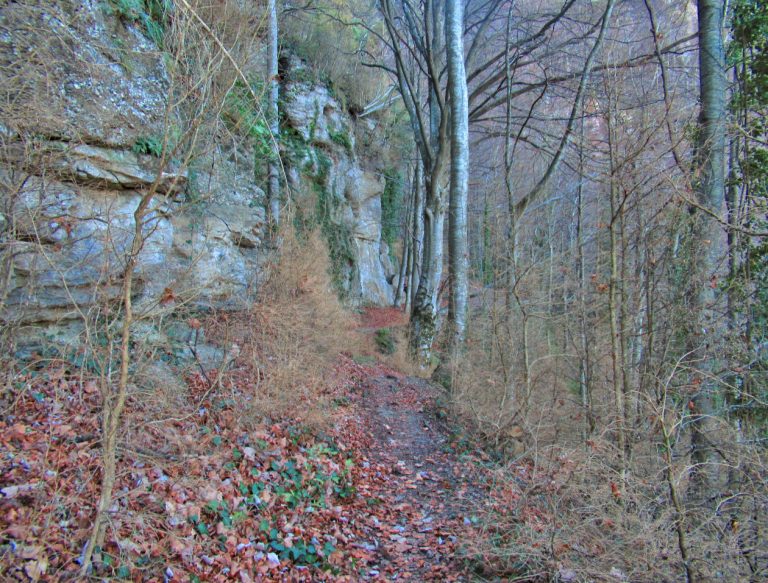 PUIGPARDINES-JOANETES-OLLETES-FOTO
