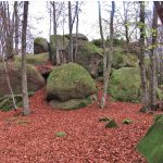 URIA-ENCANTADES-FOTO